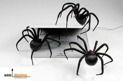 Spiders Crawling Deeper to Index the Web