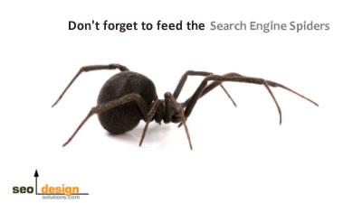 Search Engine Spider SEO Tips for Search Engine Spiders