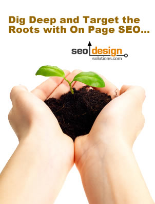 on-page-seo-roots Target the Roots of Organic SEO