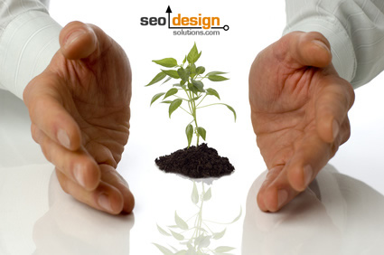 nurturing-your-theme SEO Tips for Nurturing Your Semantic Theme