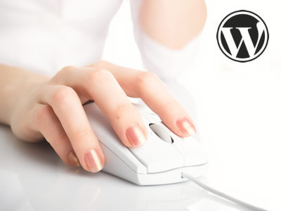 wordpress-blogging