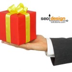 Affrordable SEO Packages or Custom SEO Services?