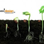 Organic SEO: Natural Search Engine Optimization