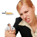 Niche Site or Authority Site?
