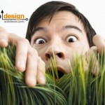 Sifting Through Organic Search Engine Results