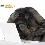 20 SEO Tips You Either Forgot or Didn’t Know!