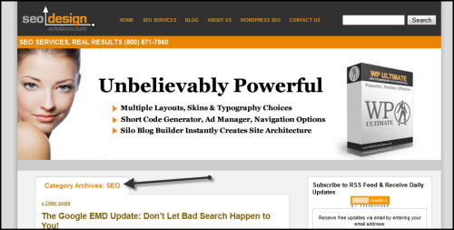 Example of Category Archive Page with Cyclical Posts Under Category