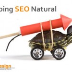 Keeping SEO Natural