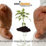 SEO Techniques to Improve Search Engine Rankings