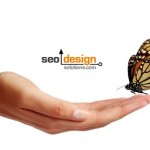 Alt Attributes and SEO: This image could be a link for the keyword butterfly