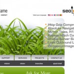 Template Optimization Tips by SEO Design Solutions