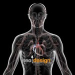 Internal Links Nurture Your Website from Within