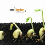 Crash Course in Organic SEO