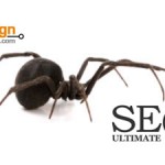 How to Block Bots for Optimal SEO